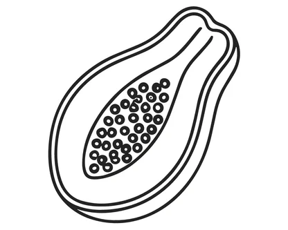 desenhos de frutas para colorir e imprimir para imprimir e colorir - imagem 7